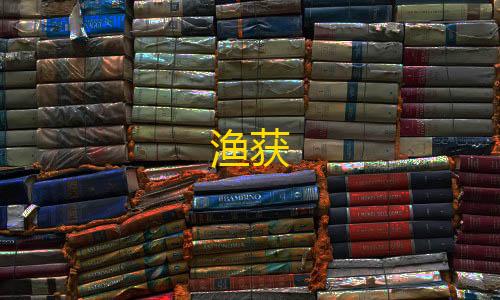 王牌竞速卡网工具渔获